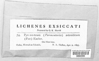 Image Associated With the Occurence